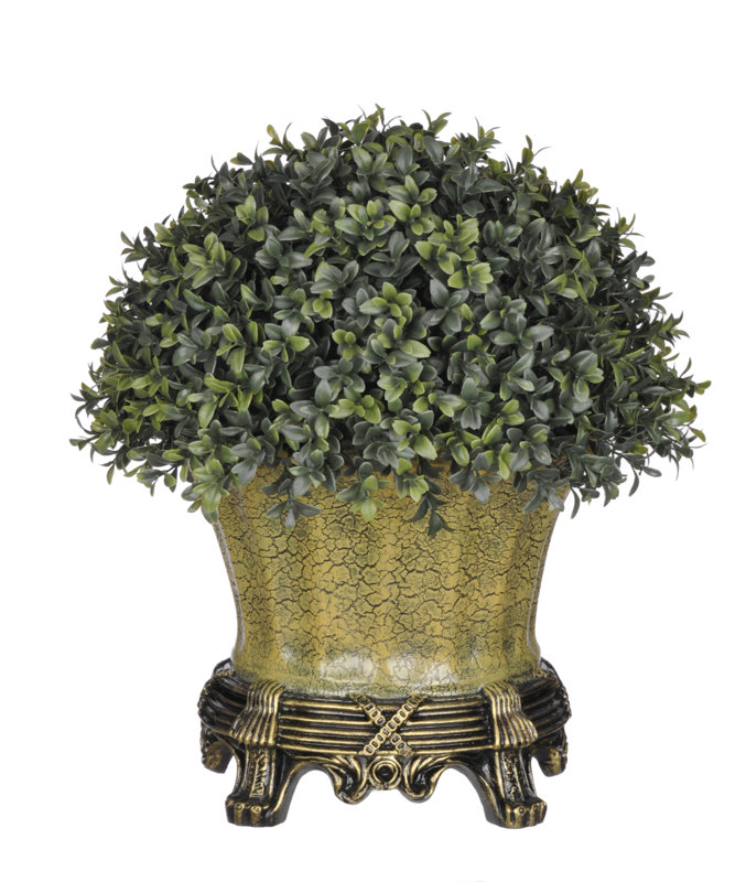 House of Silk Flowers Artificial Boxwood HalfBall Topiary in Urn