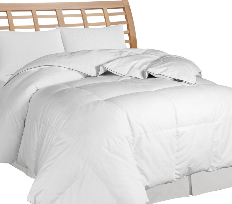 Elle Decor All Season Down Comforter & Reviews Wayfair