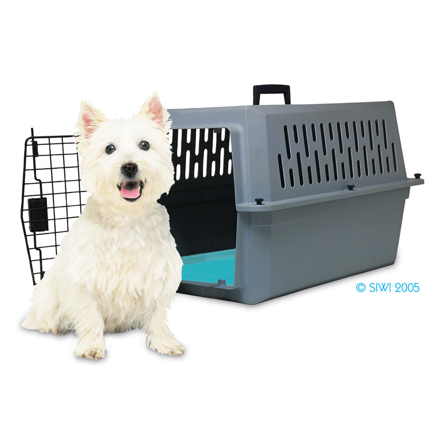 SoothSoft Canine Cooler Dog Mat & Reviews Wayfair