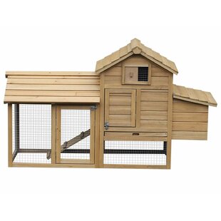 Chicken Coops Chicken Runs Houses Youll Love Wayfaircouk