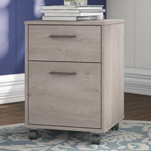 Filing Cabinets You'll Love | Wayfair