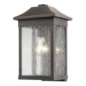 Astille 1-Light Outdoor Flush Mount