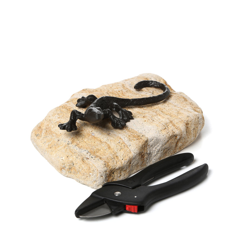 Design Toscano Sun Bathing Lizard Garden Statue & Reviews Wayfair