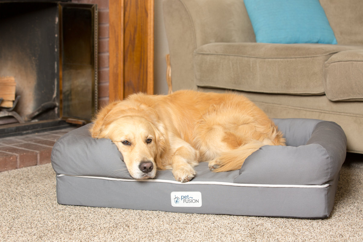 PetFusion Ultimate Lounge Premium Edition Dog Bed with Solid Memory