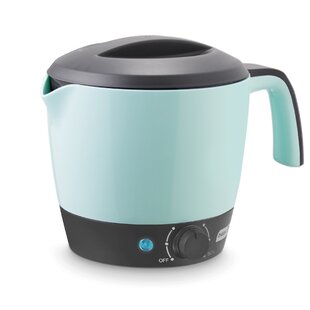 rival hot pot express water kettle