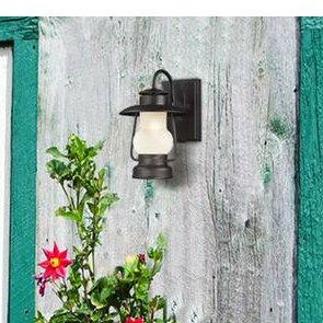 Caratunk 1-Light Outdoor Wall Lantern