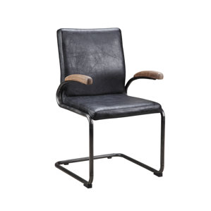 Teresa Armchair (Set of 2) by 17 Stories