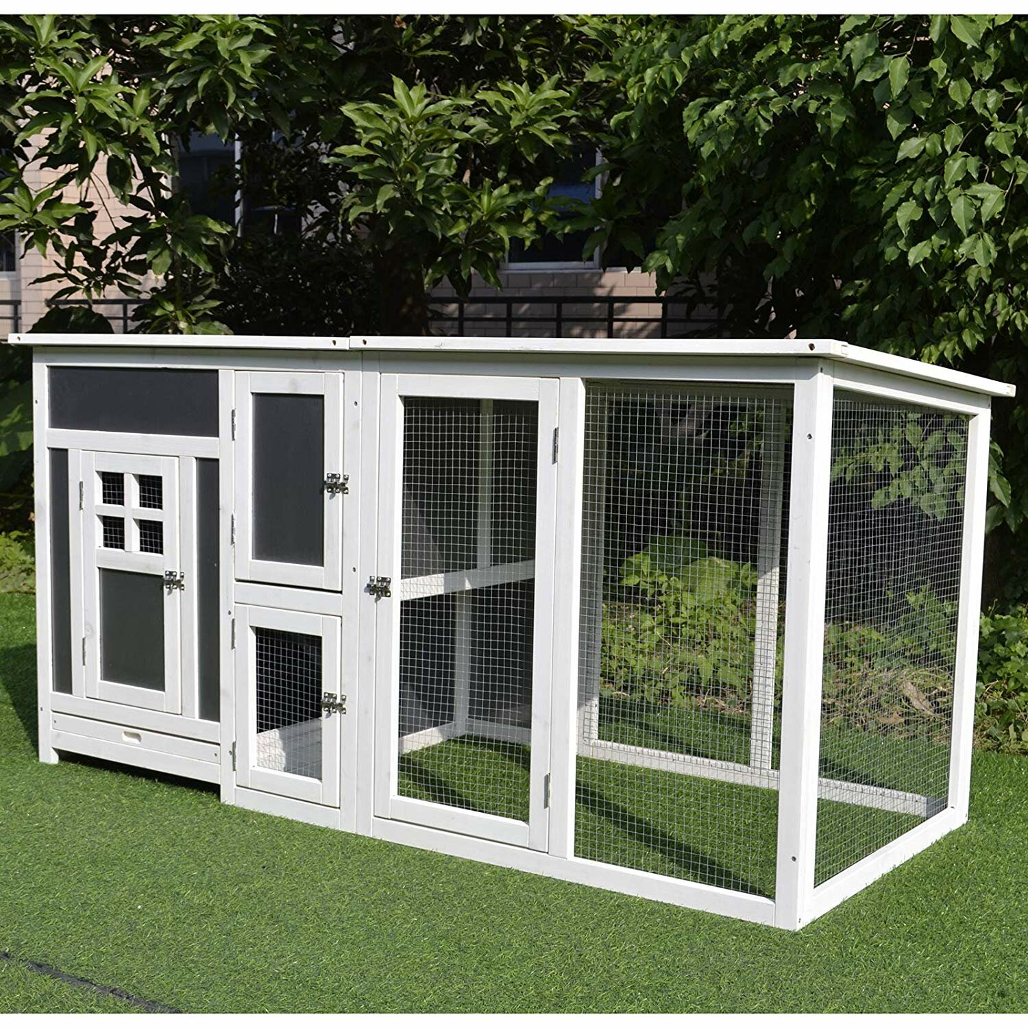 Doug Chicken Coop