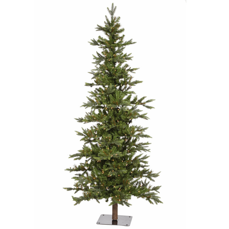 Vickerman Shawnee 7 Green Fir Artificial Christmas Tree With 350 Shawnee 7 Green Fir Artificial Christmas Tree With 350 Led White Lights Stand