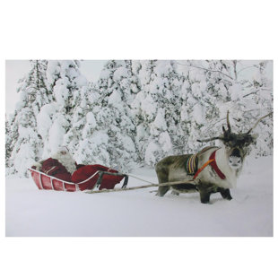 Lighted Reindeer And Sleigh Wayfair Santa In His Sleigh Fiber Optic Lighted Photographic Print On Canvas
