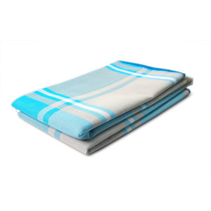 MultiIndoor/Outdoor Rug Blue Plaid Indoor/Outdoor Area Rug