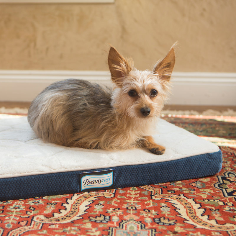 R2PPetLtd. Beautyrest Thera Bed Orthopedic Memory Foam Dog Bed