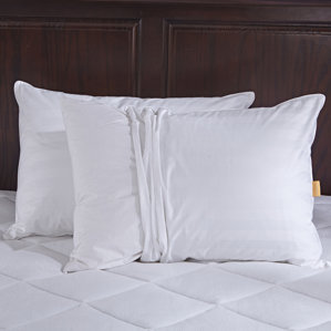 Celso Down and Feathers Pillow (Set of 2) by The Twillery Co.