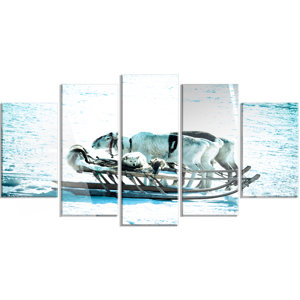 'Dogs on Reindeer Sleigh' 5 Piece Photographic Print on Canvas Set