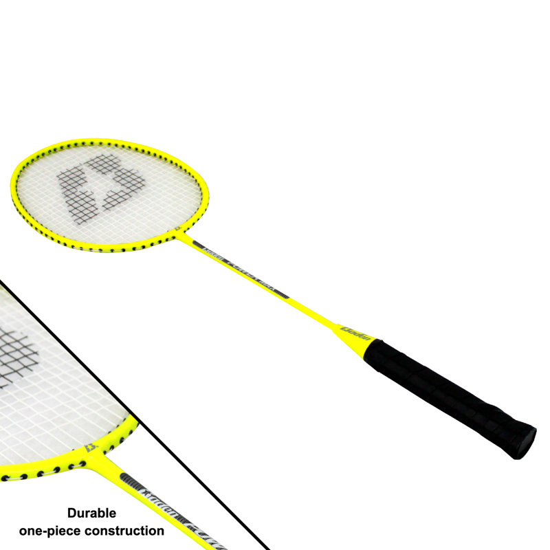 Baden Champions Badminton Game Set & Reviews Wayfair