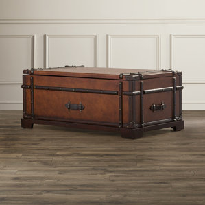 Delavan Steamer Coffee Table Trunk with Lift Top by Darby Home Co