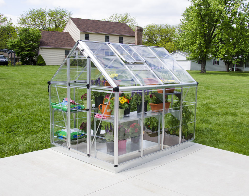 Palram Snap & Grow 6 Ft. W x 8 Ft. D Polycarbonate Greenhouse & Reviews