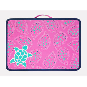 Turtle 17
