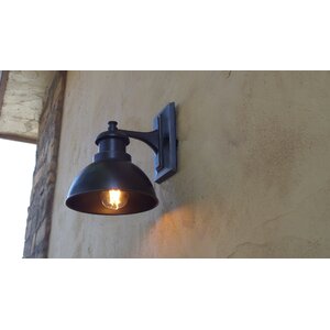 Elisha 1-Light Outdoor Barn Light