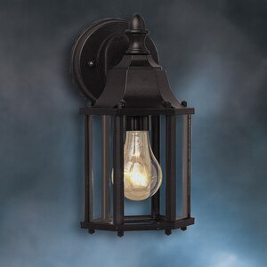 Bayou Traditional 1-Light Outdoor Wall Lantern