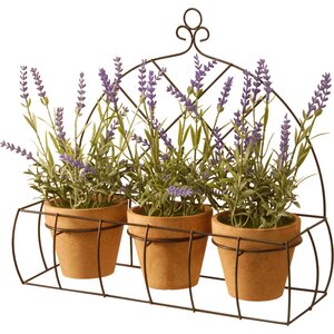 3 Piece Potted Lavender Flower Set with Rack