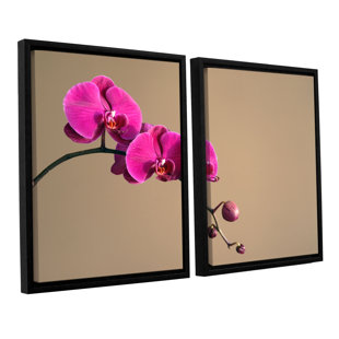 ArtWall Dean Uhlinger 3 Piece Borrego Desert Spring Floater Framed Canvas Set 36 by 54