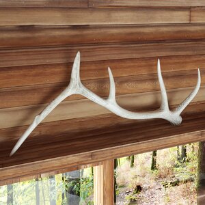 Weathered Elk Antler Sculpture