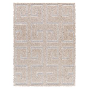 Orla Platinum Shag Beige Area Rug