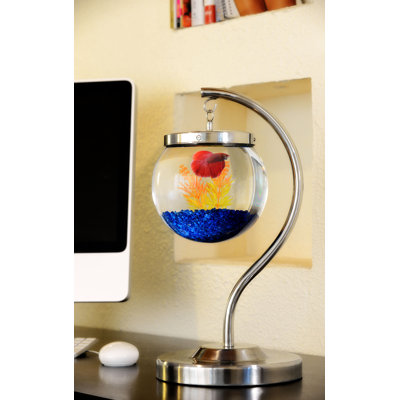 Fish Tanks Aquariums You ll Love Wayfair Fish Tanks Aquariums You ll Love Wayfair