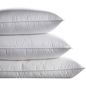 Down and Feathers European Pillow