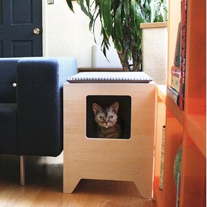 Modern Litter Box Enclosure