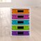 personalized toy organizer