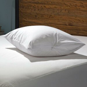 Hypoallergenic Waterproof Bed Bug Zipper Pillow Protector (Set of 2)