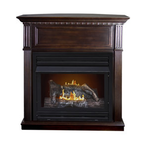 Intermediate Vent-Free Dual Fuel Gas Fireplace by Pleasant Hearth