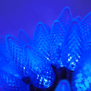 Turquoise Christmas Lights Wayfair Quickview