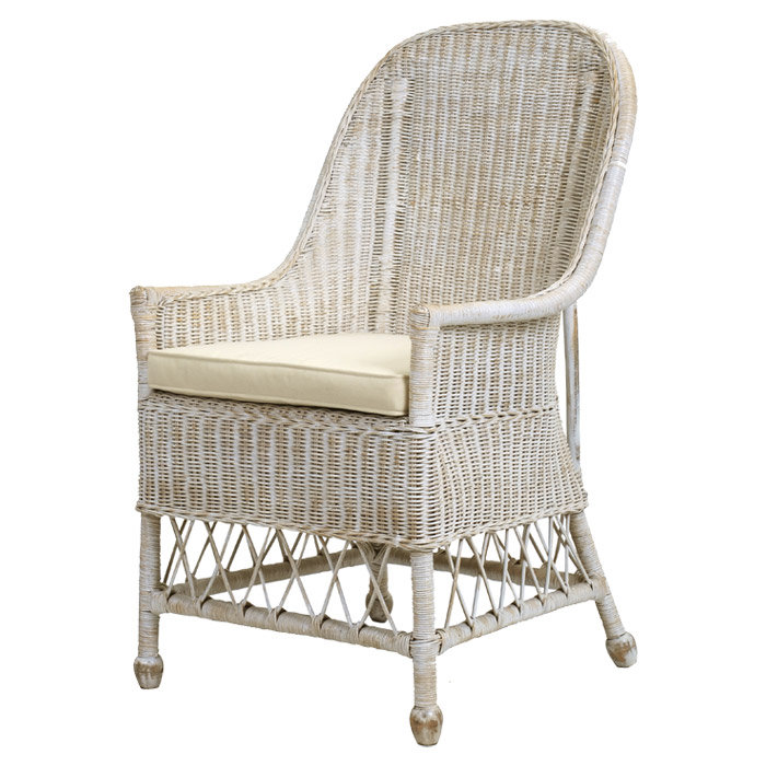 Diana Rattan Armchair & Reviews | Joss & Main