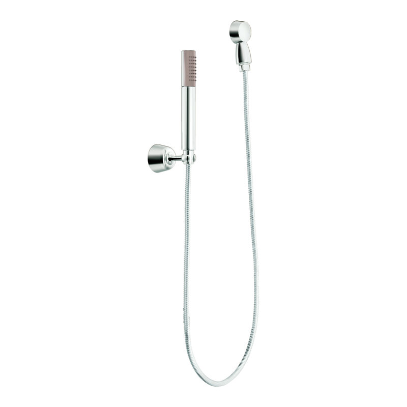 Moen Moen Fina Full Handheld Shower Head & Reviews Wayfair
