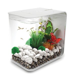 4 Gallon Flow Aquarium Tank