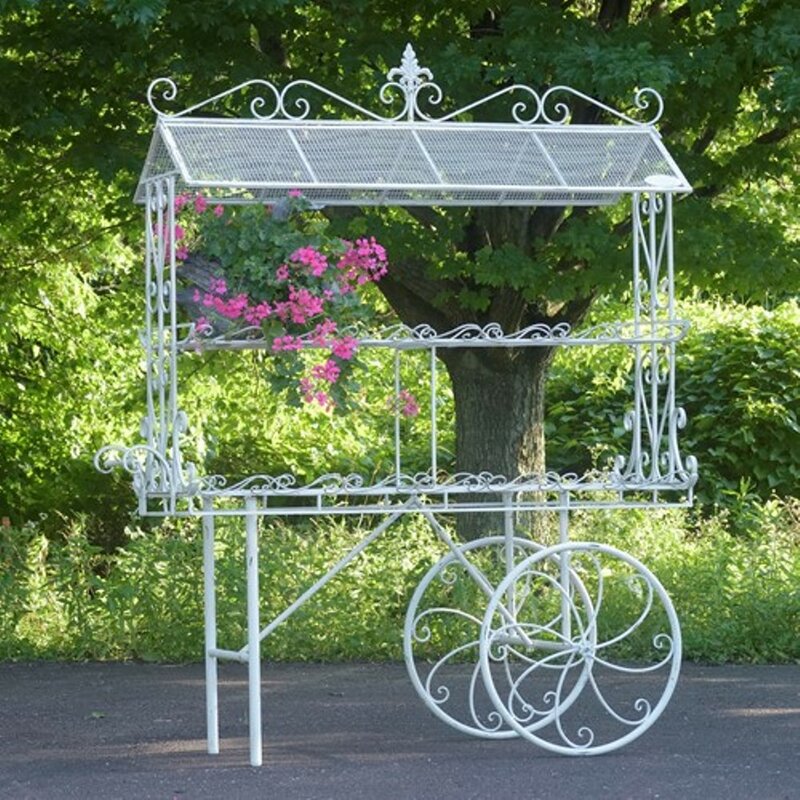 ZaerLtdInternational Flower Cart Metal Wheelbarrow Planter ...