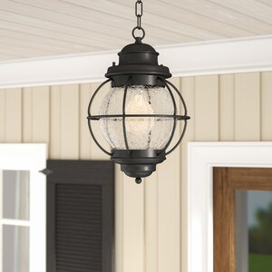 Cason 1-Light Outdoor Hanging Lantern