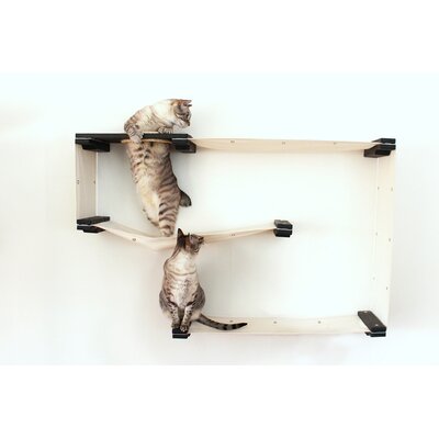 Cat Shelves & Perches You'll Love in 2019 | Wayfair