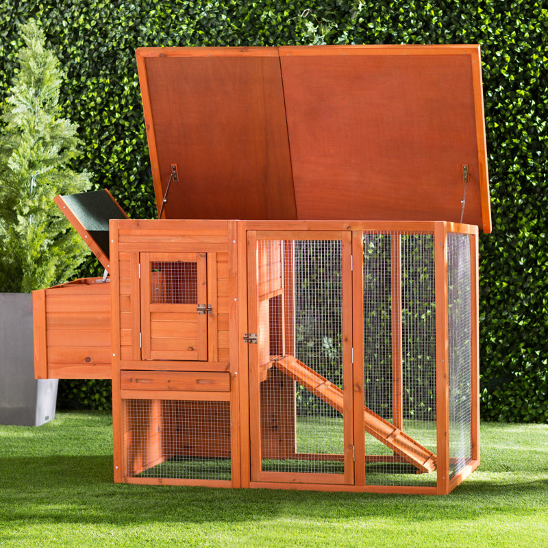 Freddy Chicken Coop With Chicken Runnesting Boxroosting Bar