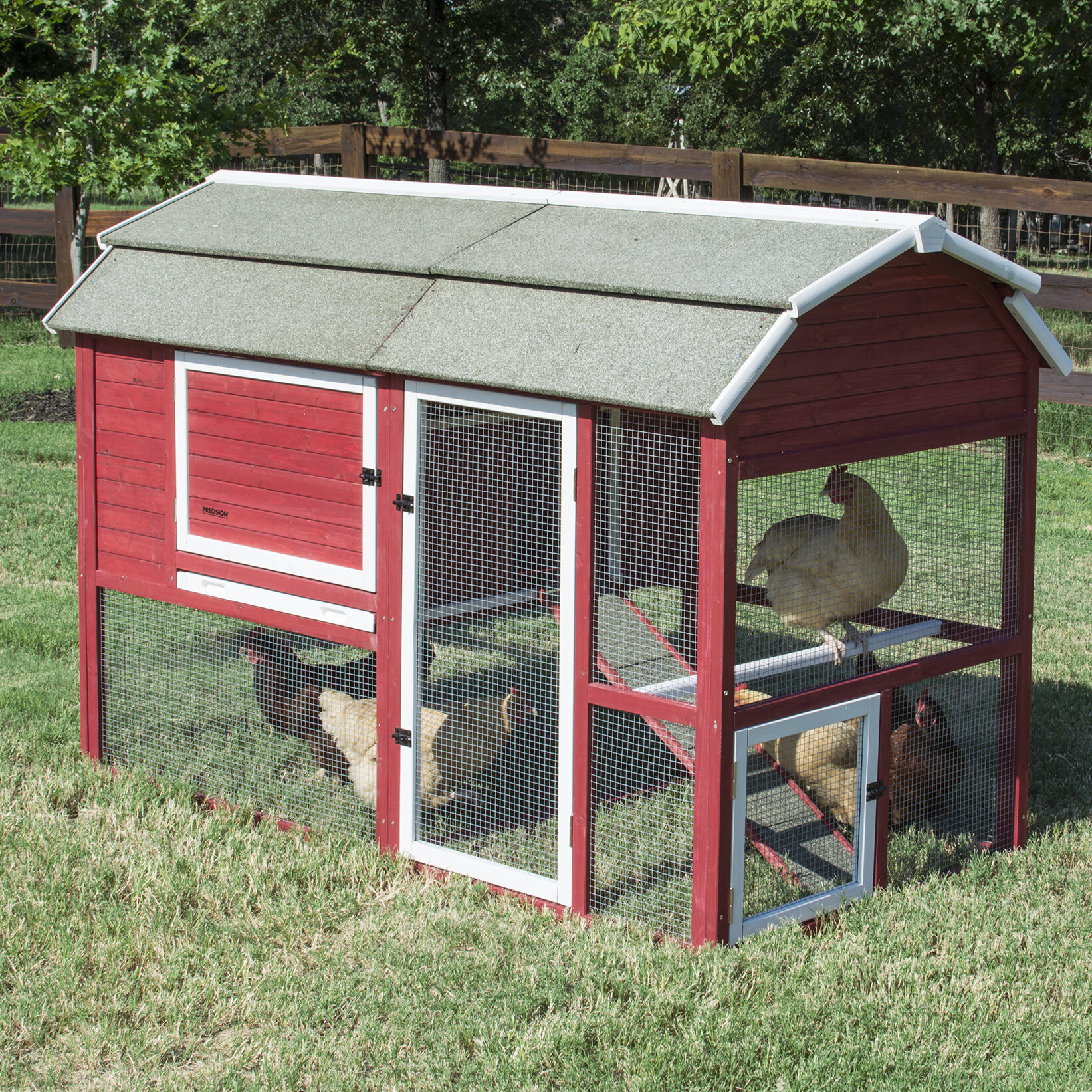 Chicken Coop With Roosting Bar