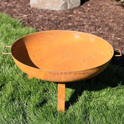 Wildon Home Bowl Cast Iron Wood Fire Pit Wayfair