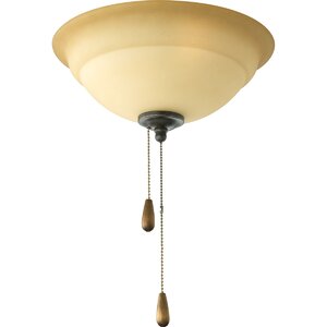 2-Light Forged Bronze Bowl Ceiling Fan Light Kit
