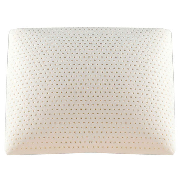 Beautyrest Plush Latex Pillow
