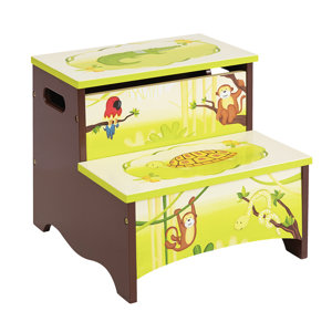 Dorian Kids Step Stool with Storage