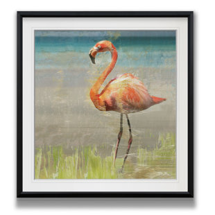 Spring Peacock II Bird Giclee Stretched Canvas Artwork 24 x 24 Global Gallery James Wiens