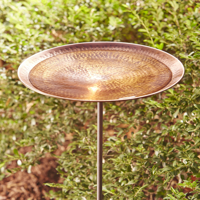 Birch Lane™ Antique Copper Birdbath & Reviews Birch Lane