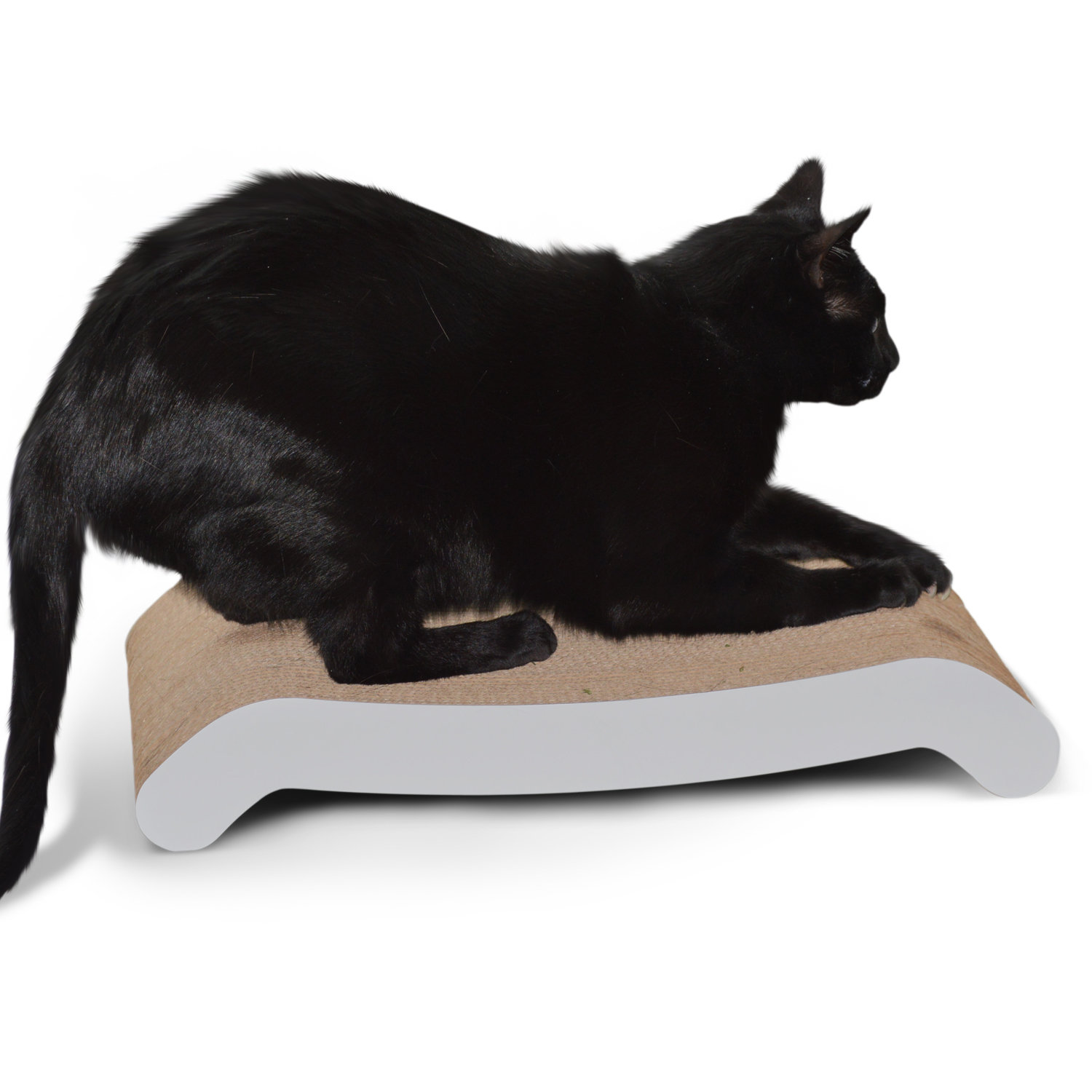 PetFusion Cat Scratching Board & Reviews Wayfair